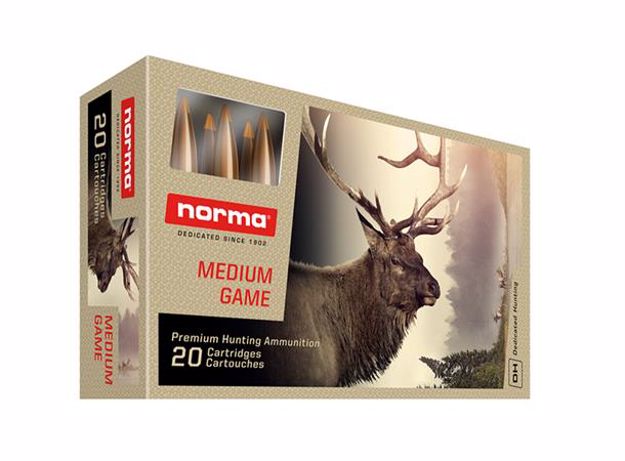 Norma Tipstrike 308 Win 170gr / 11,0g