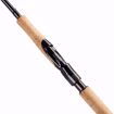 Bilde av Daiwa CALDIA SPIN 11' 4PC 20-60G